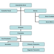 Estrutura Organizacional